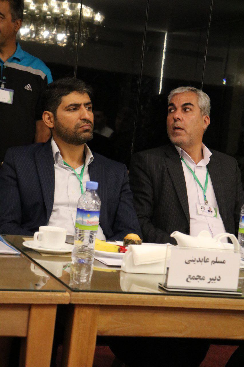 انتخاب مجتبی محمدی به عنوان رئیس هیات بدنسازی و پرورش اندام 