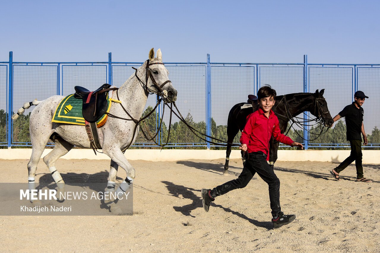 تیم‌های فراجا قهرمان شدند+تصاویر